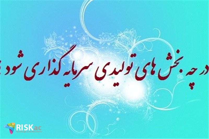 در چه بخش های تولیدی سرمایه گذاری شود ؟