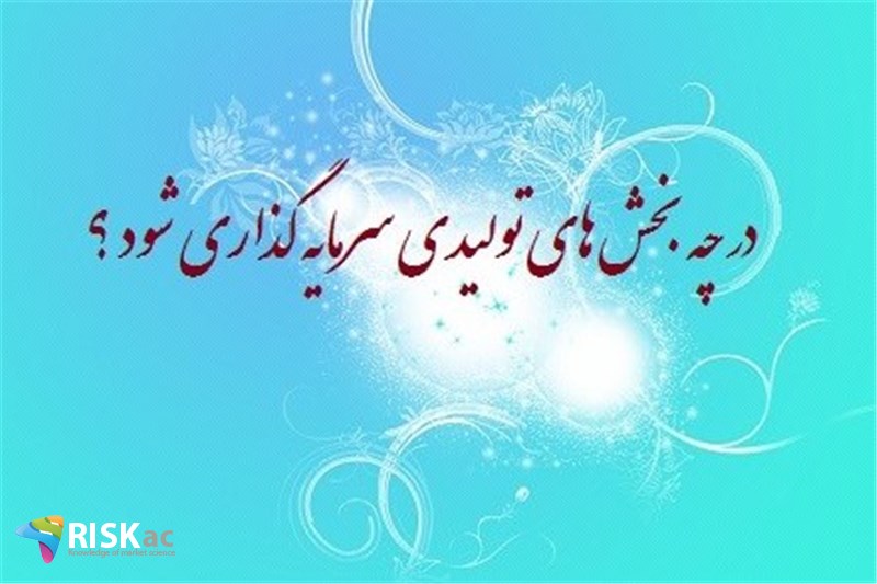در چه بخش های تولیدی سرمایه گذاری شود ؟