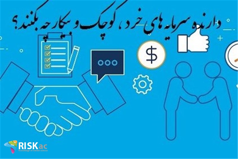 دارنده سرمایه های خرد ، کوچک و بیکار چه بکنند؟