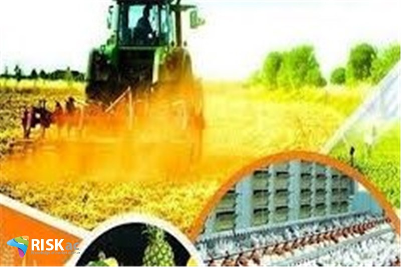 بخش مسکن و اقتصاد کشاورزی