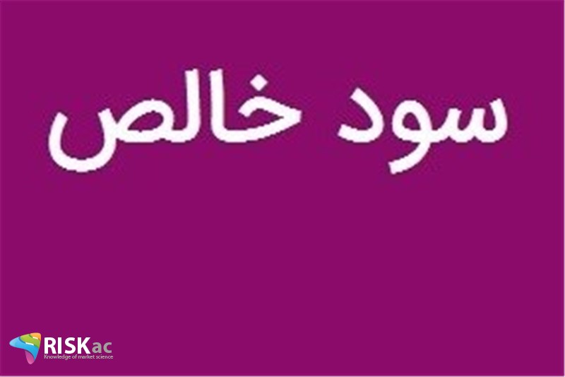 چه شرکتهایی سود خالص بر ارزش بازار بهتری در بورس دارند