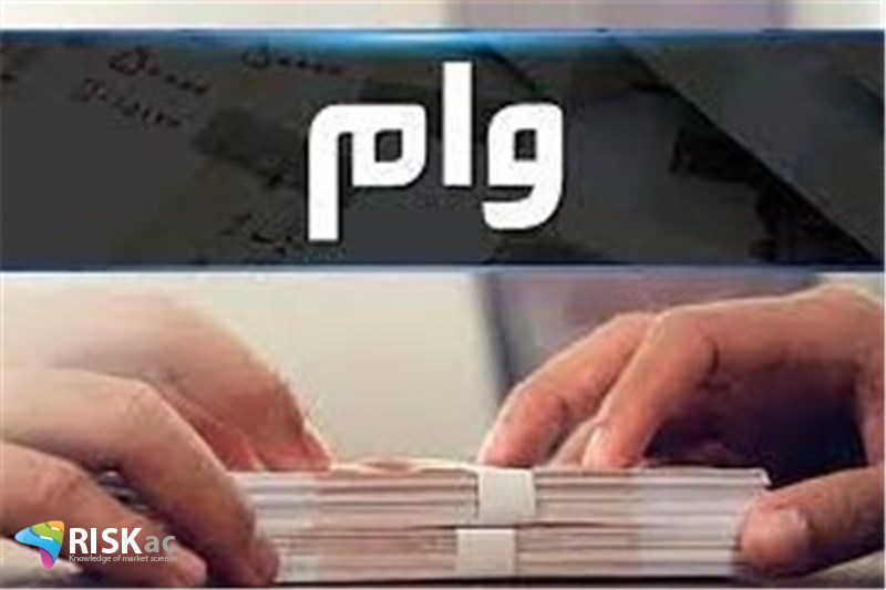 30 شرکت 70 درصد وام از بانکها گرفتند