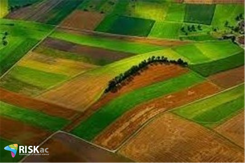 نحوه محاسبه خرید زمین کشاورزی