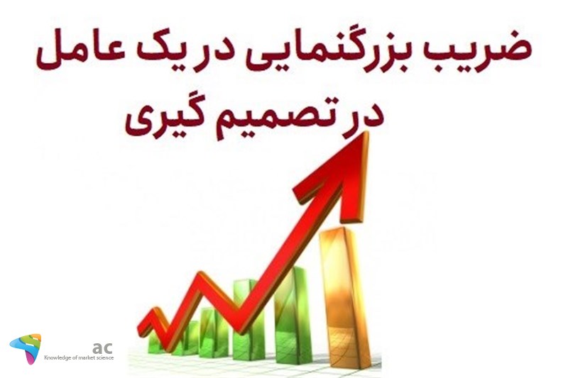 ضریب بزرگنمایی در یک عامل در تصمیم گیری
