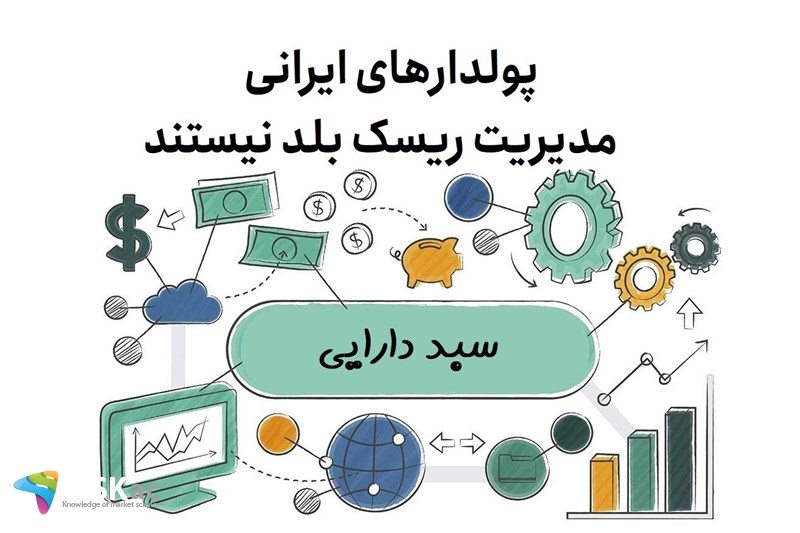 پولدارهای ایرانی مدیریت ریسک بلد نیستند