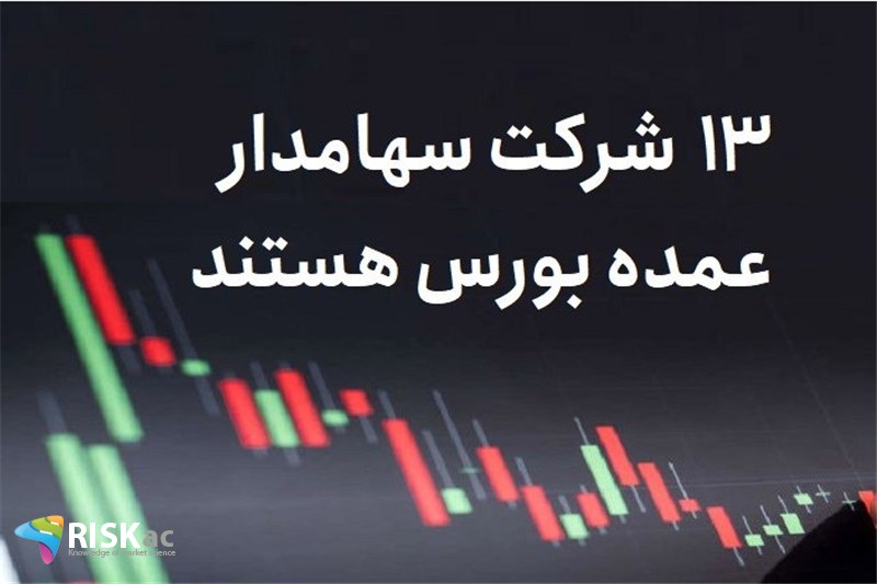 13 شرکت سهامدار عمده بورس هستند