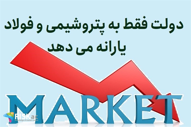 دولت فقط به پتروشیمی و فولاد یارانه می دهد