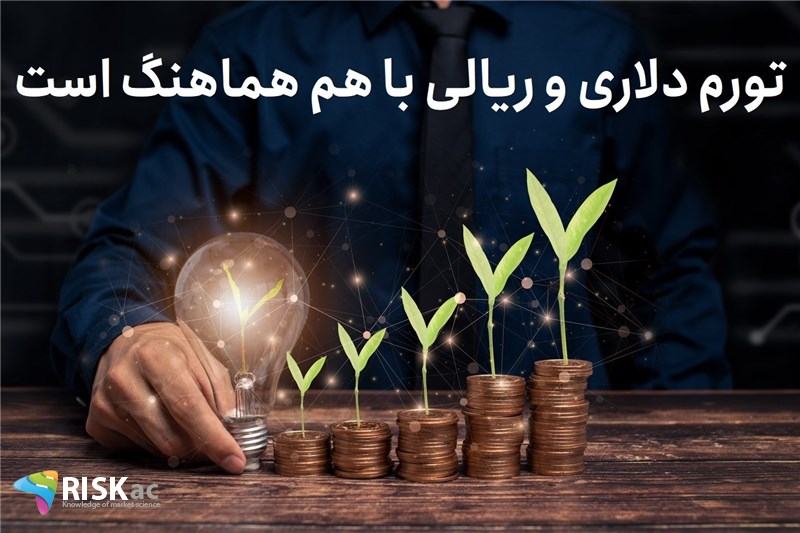 تورم دلاری و ریالی با هم هماهنگ است