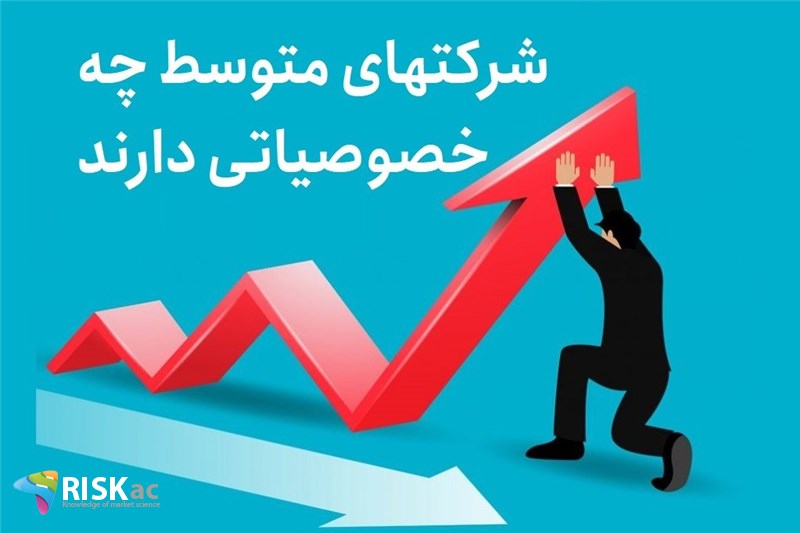 شرکتهای متوسط چه خصوصیاتی دارند