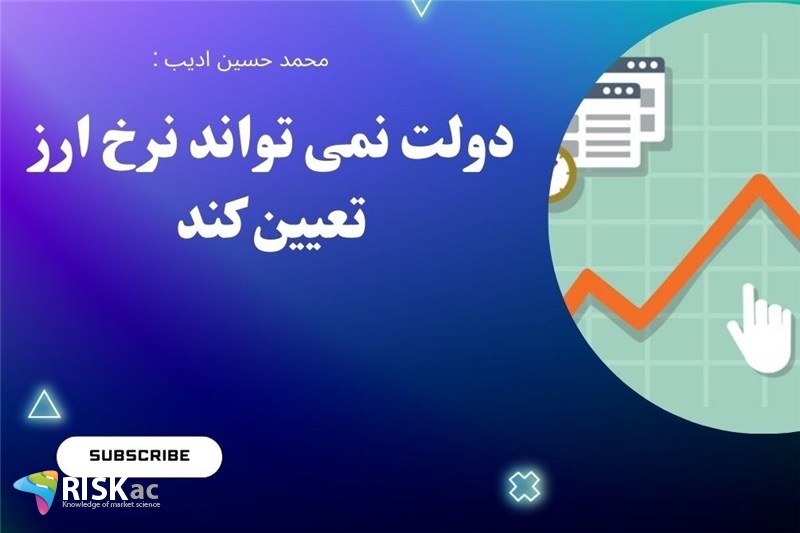 دولت نمی تواند نرخ ارز تعیین کند