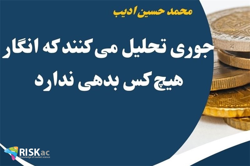 جوری تحلیل می کنند که انگار هیچ کس بدهی ندارد