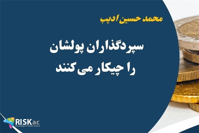 سپردگذاران پولشان را چیکار می کنند