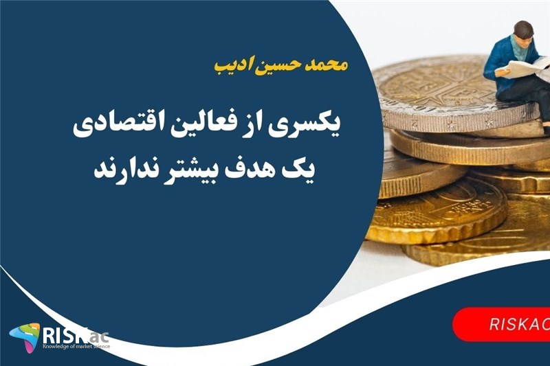یکسری از فعالین اقتصادی یک هدف بیشتر ندارند