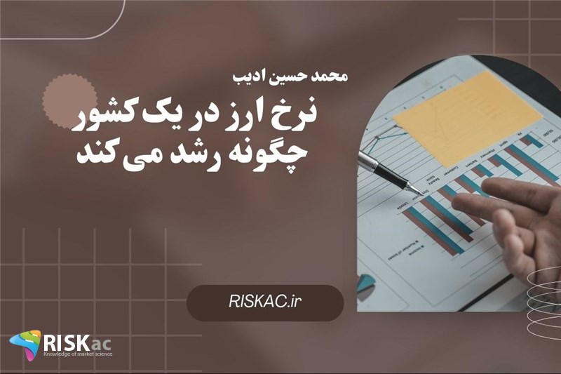 نرخ ارز در یک کشور چگونه رشد می کند