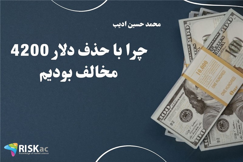 چرا با حذف دلار 4200 مخالف بودیم
