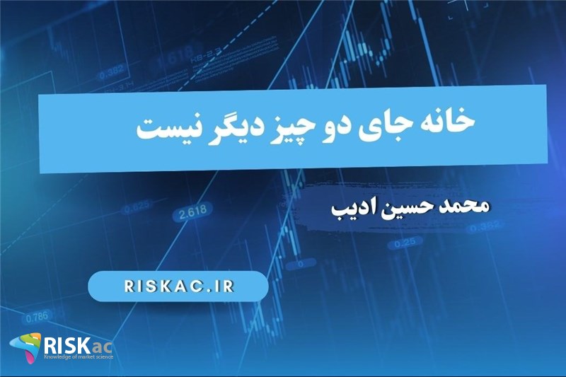 خانه جای دو چیز دیگر نیست
