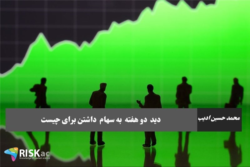 دید دو هفته به سهام داشتن برای چیست