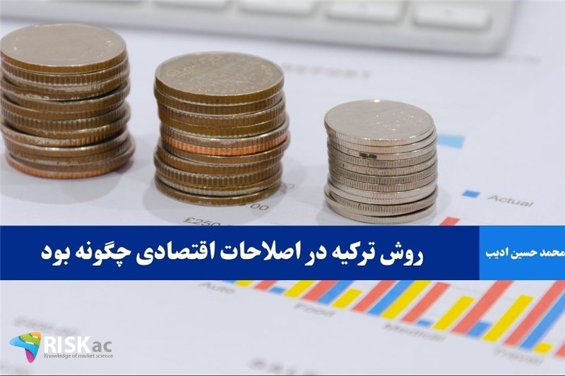 روش ترکیه در اصلاحات اقتصادی چگونه بود
