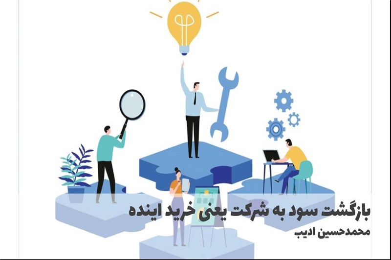 بازگشت سود به شرکت یعنی خرید اینده