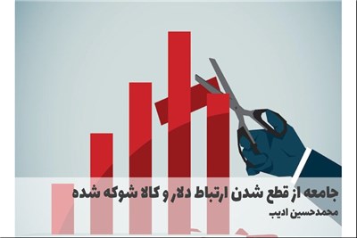جامعه از قطع شدن ارتباط دلار و کالا شوکه شده