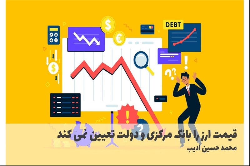 قیمت ارز را بانک مرکزی و دولت تعیین نمی کند