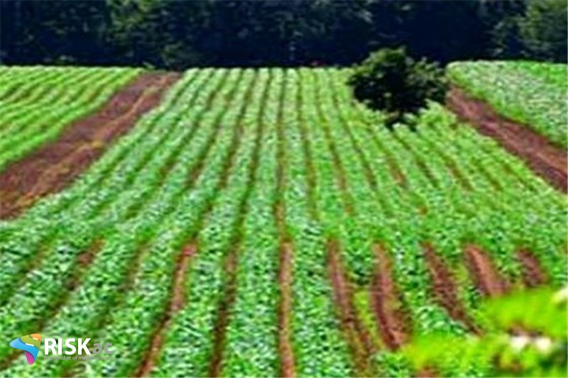 آینده زمین کشاورزی در ایران