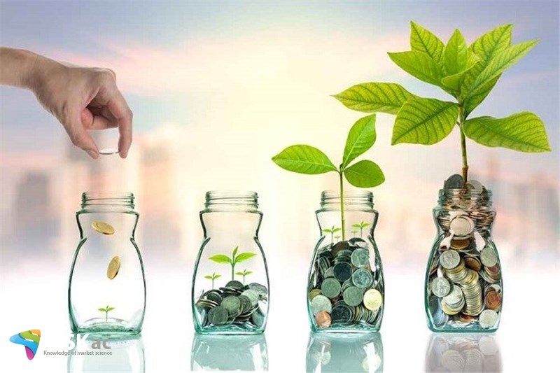 بهره وری در سرمایه