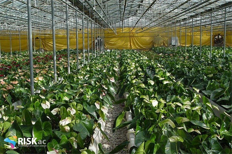 ریسک بخش کشاورزی رو به کاهش است