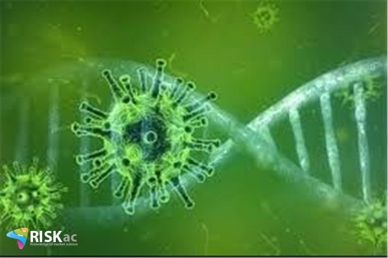 در دوره کرونا مصرف در جامعه به دو دسته تقسیم می شود