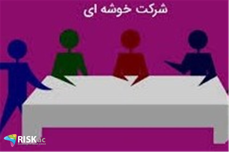 فعالیت خوشه ای در کسب و کار