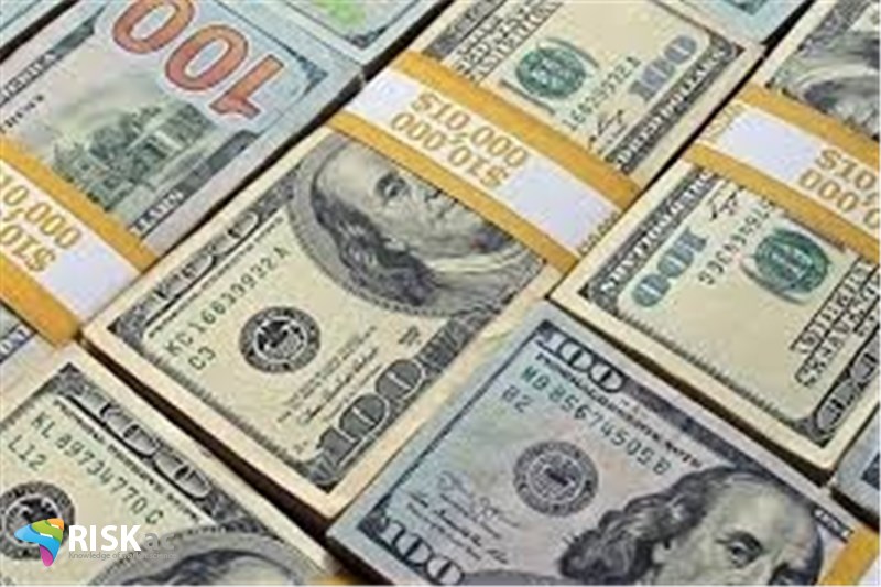 30 درصد سبد دارایی باید ارز پایه باشد
