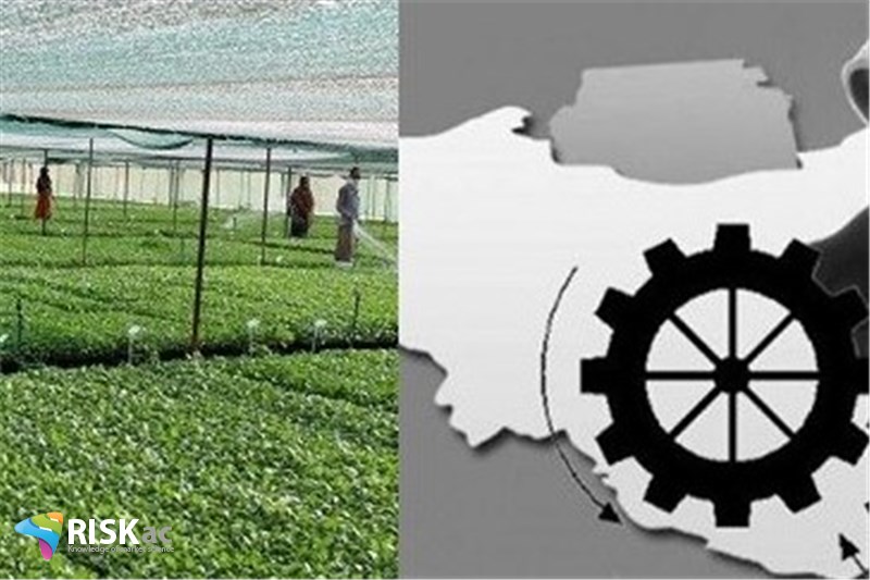 فرق اقتصاد گازی کشاورزی با اقتصاد نفتی چیست؟