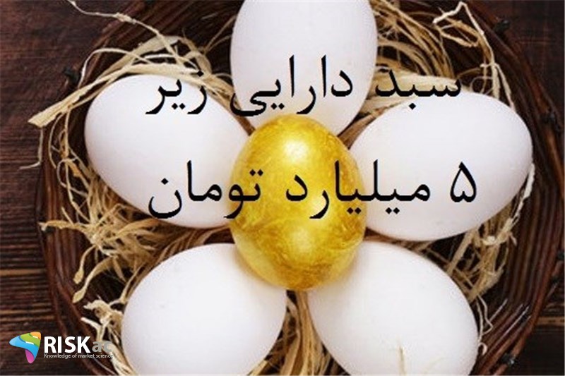 سبد دارایی زیر 5 میلیارد تومان