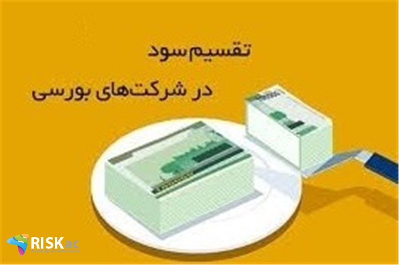 تقسیم سود و سرمایه گذاری در شرکتهای بورسی