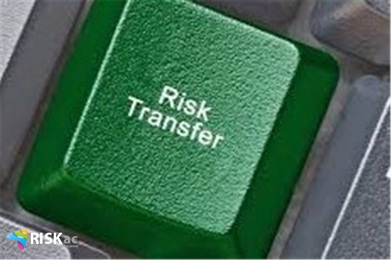 کار تیمی و انتقال ریسک
