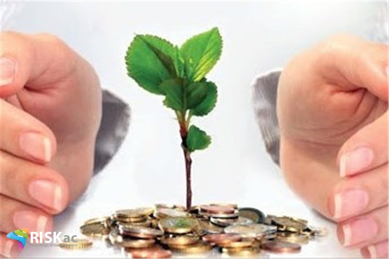 در دولت روحانی سپرده گذار ریسک را به جامعه داد