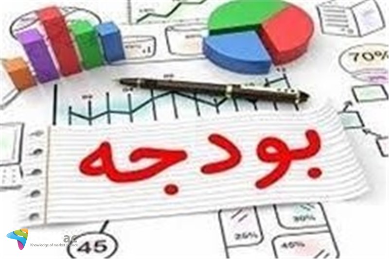 بودجه دولت کاملا شفاف است