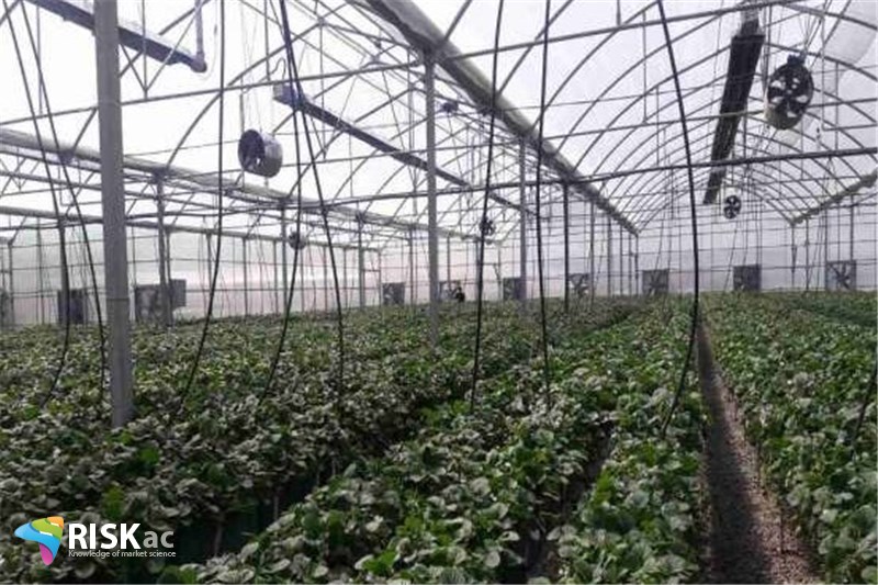 وضعیت اقتصاد در بخش گازی کشاورزی، برندی