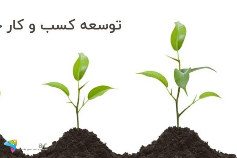 توسعه در کسب و کار به چه معناست