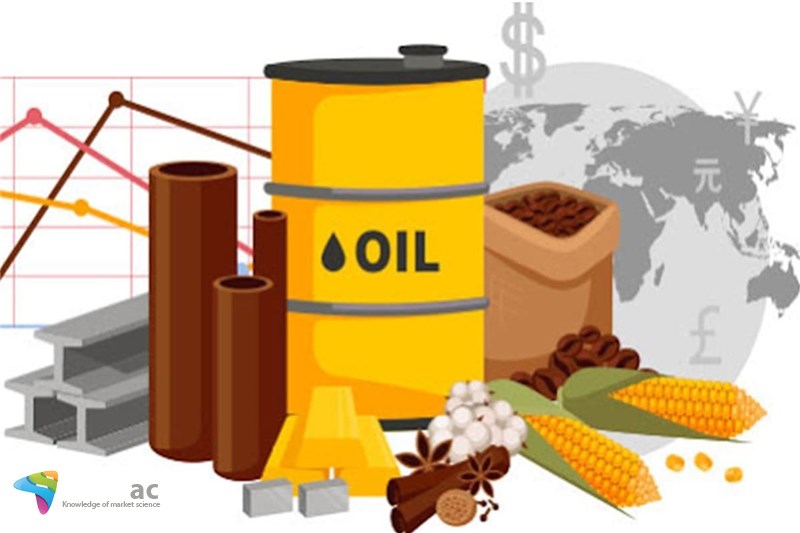 در یک سال آینده هیچ چیزی به اندازه انرژی، خدمات دولتی و کالا گران نمی شود
