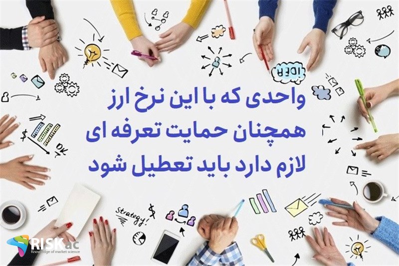 واحدی که با این نرخ ارز همچنان حمایت تعرفه ای لازم دارد باید تعطیل شود