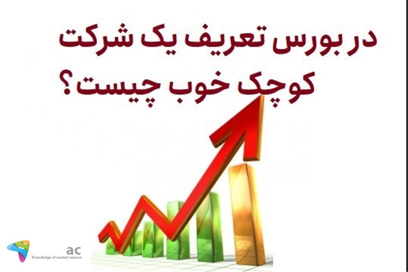 در بورس تعریف یک شرکت کوچک خوب چیست؟