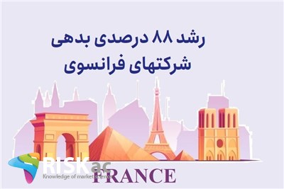 رشد 88 درصدی بدهی کشورهای فرانسوی