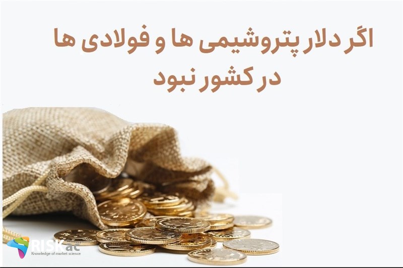 اگر دلار پتروشیمی ها و فولادی ها در کشور نبود