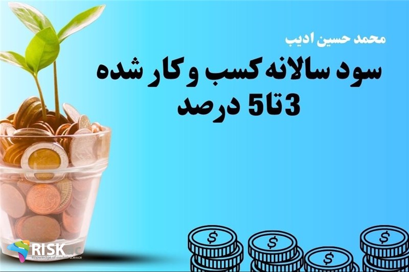 سود سالانه کسب و کار شده 3تا5 درصد