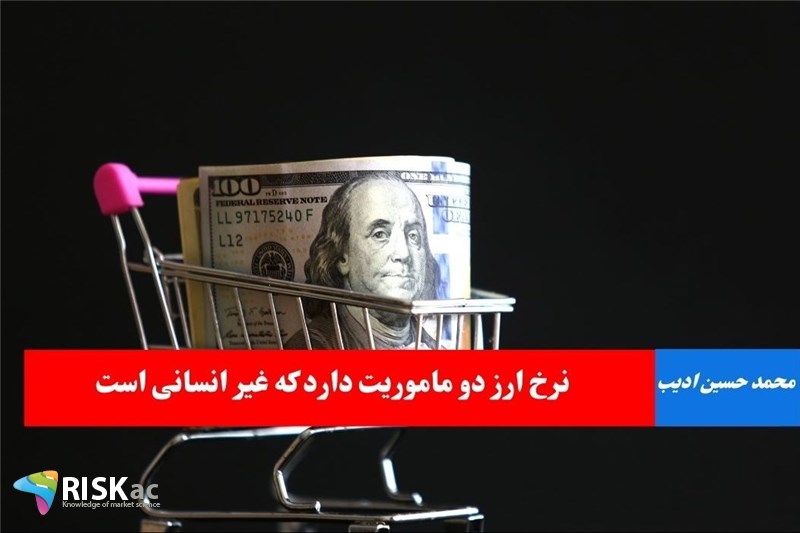 نرخ ارز دو ماموریت دارد که غیر انسانی است