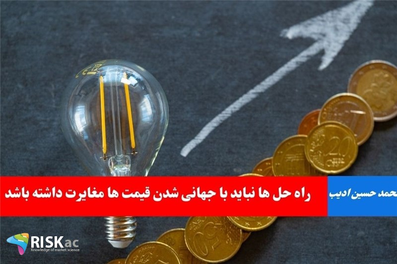 راه حل ها نباید با جهانی شدن قیمت ها مغایرت داشته باشد