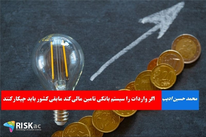 اگر واردات را سیستم بانکی تامین مالی کند مابقی کشور باید چیکار کنند