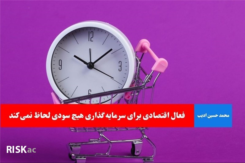 فعال اقتصادی برای سرمایه گذاری هیچ سودی لحاظ نمی کند