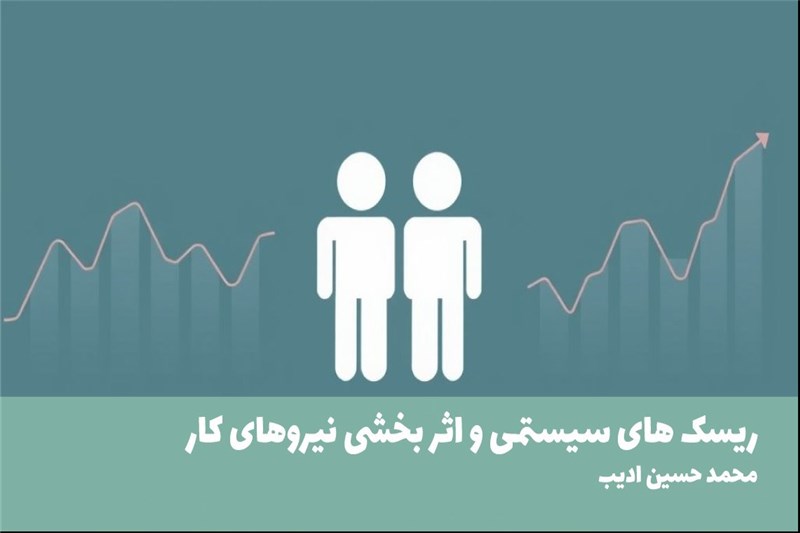 ریسک های سیستمی و اثر بخشی نیروهای کار
